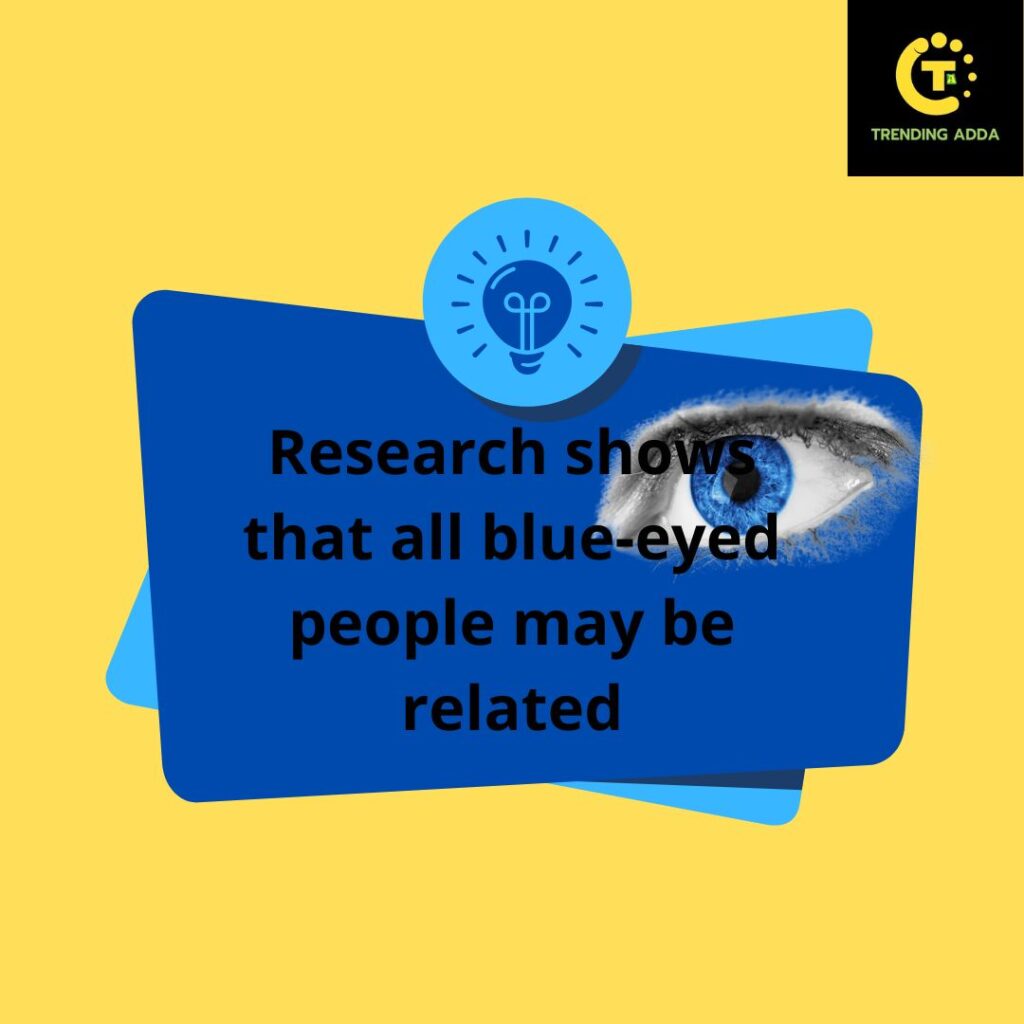 Research shows that all blue-eyed people may be related