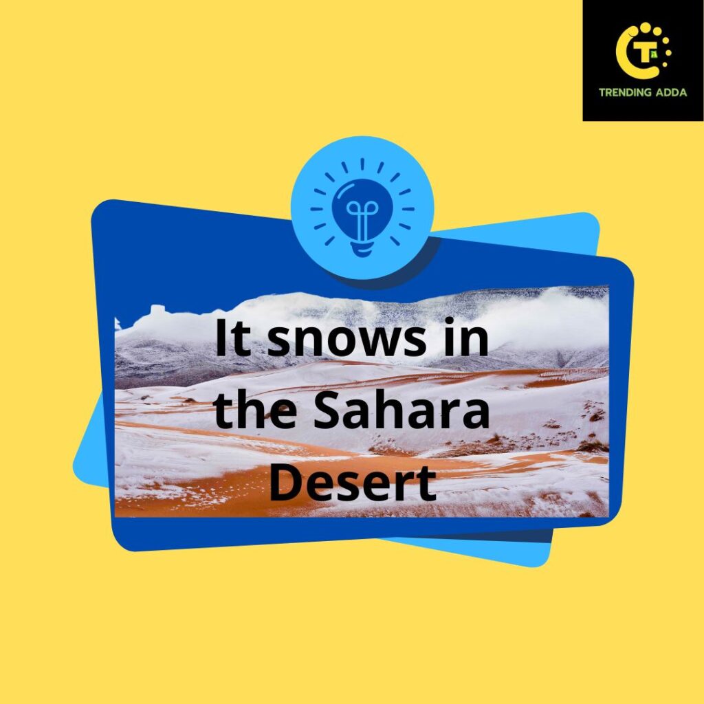 It snows in the Sahara Desert