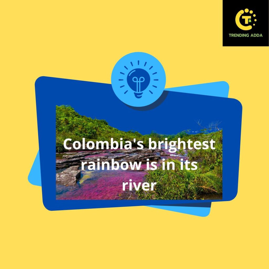 Colombia's brightest rainbow is in its river