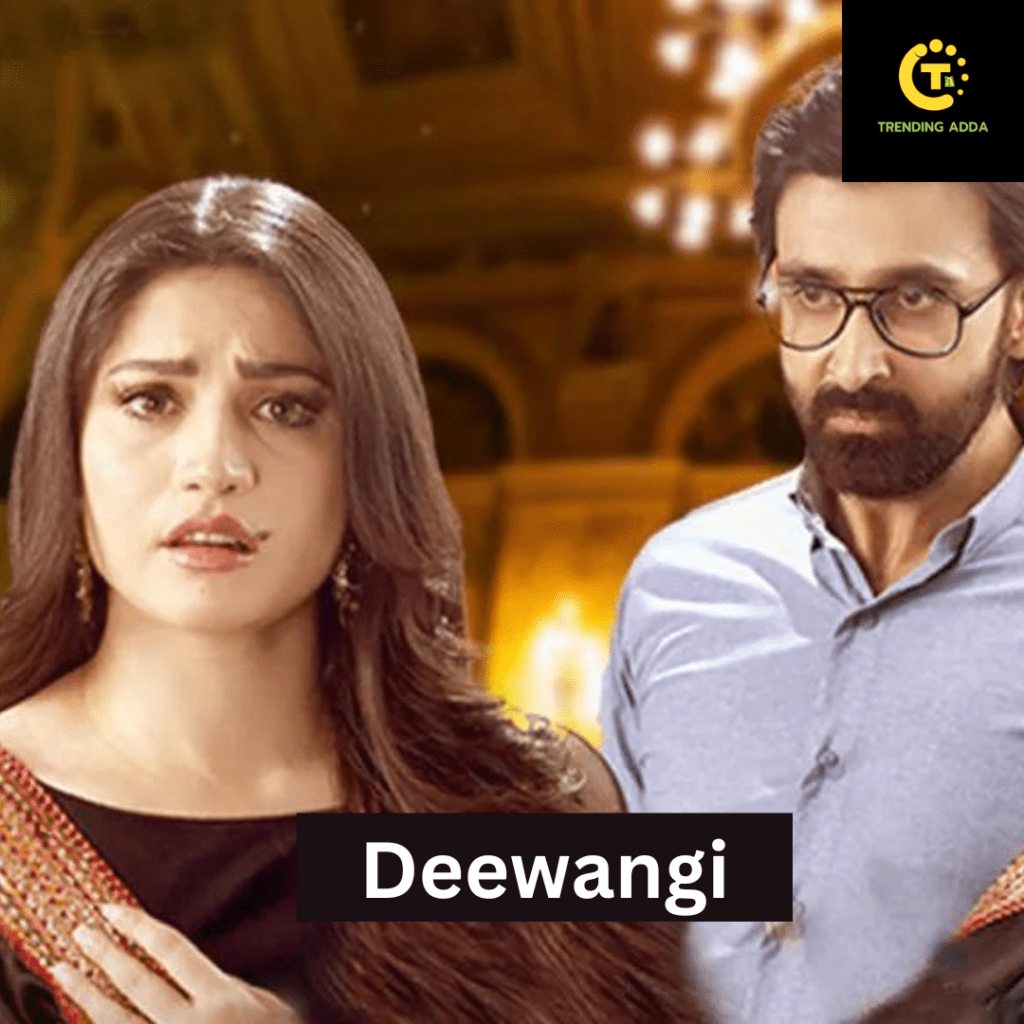 Deewangi-top-pakistani-drama