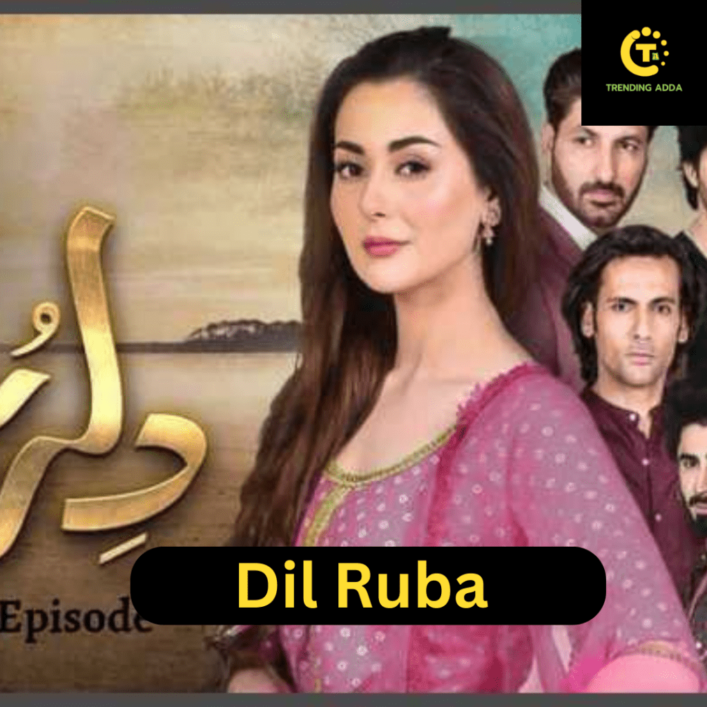 Dil-Ruba-pakistani-dramas