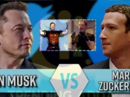 Cage Fight Elon Musk Mark Zuckerberg